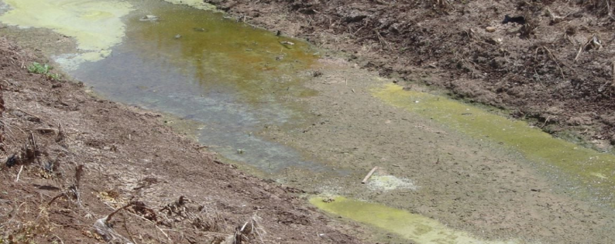 Maintaining Farm Hygiene