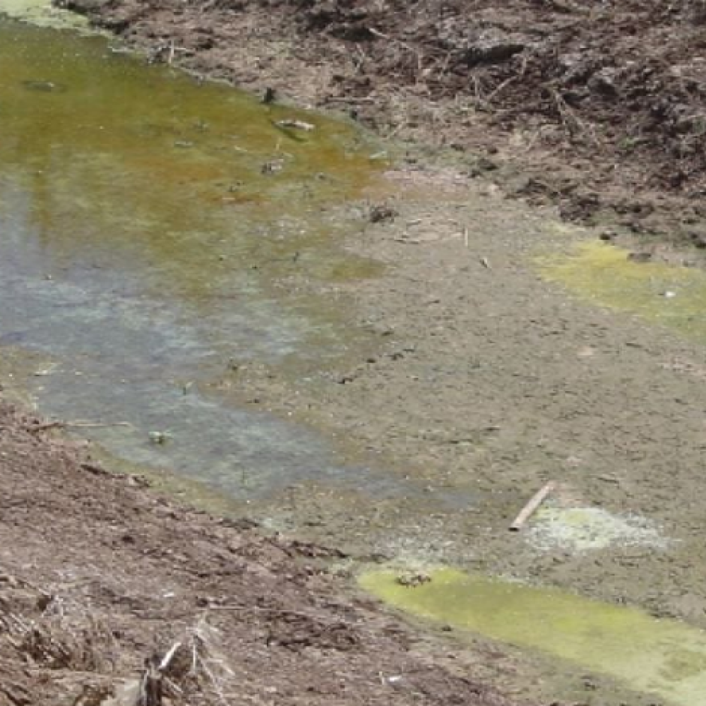 Maintaining Farm Hygiene